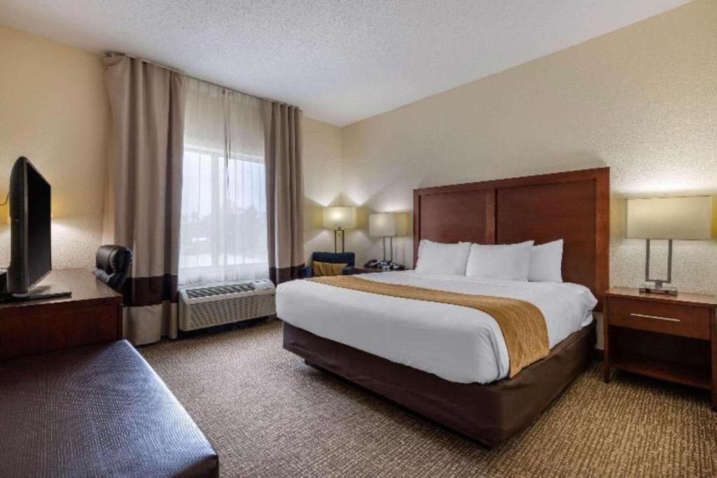Comfort Inn & Suites Camden Exterior foto