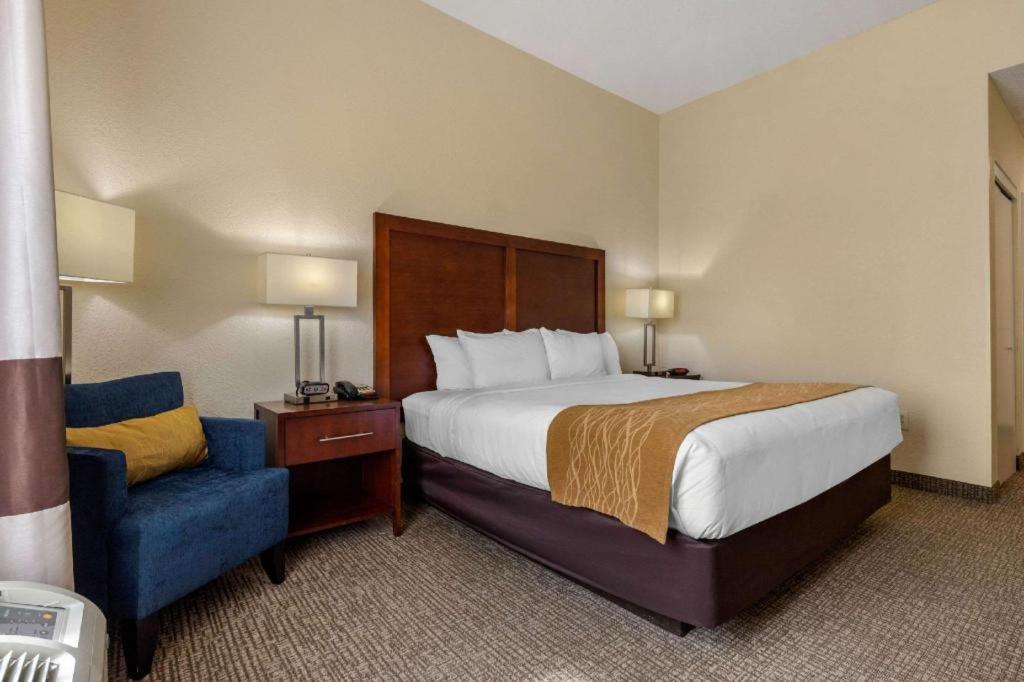 Comfort Inn & Suites Camden Exterior foto